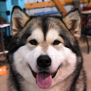 Meet your Posher, Leann